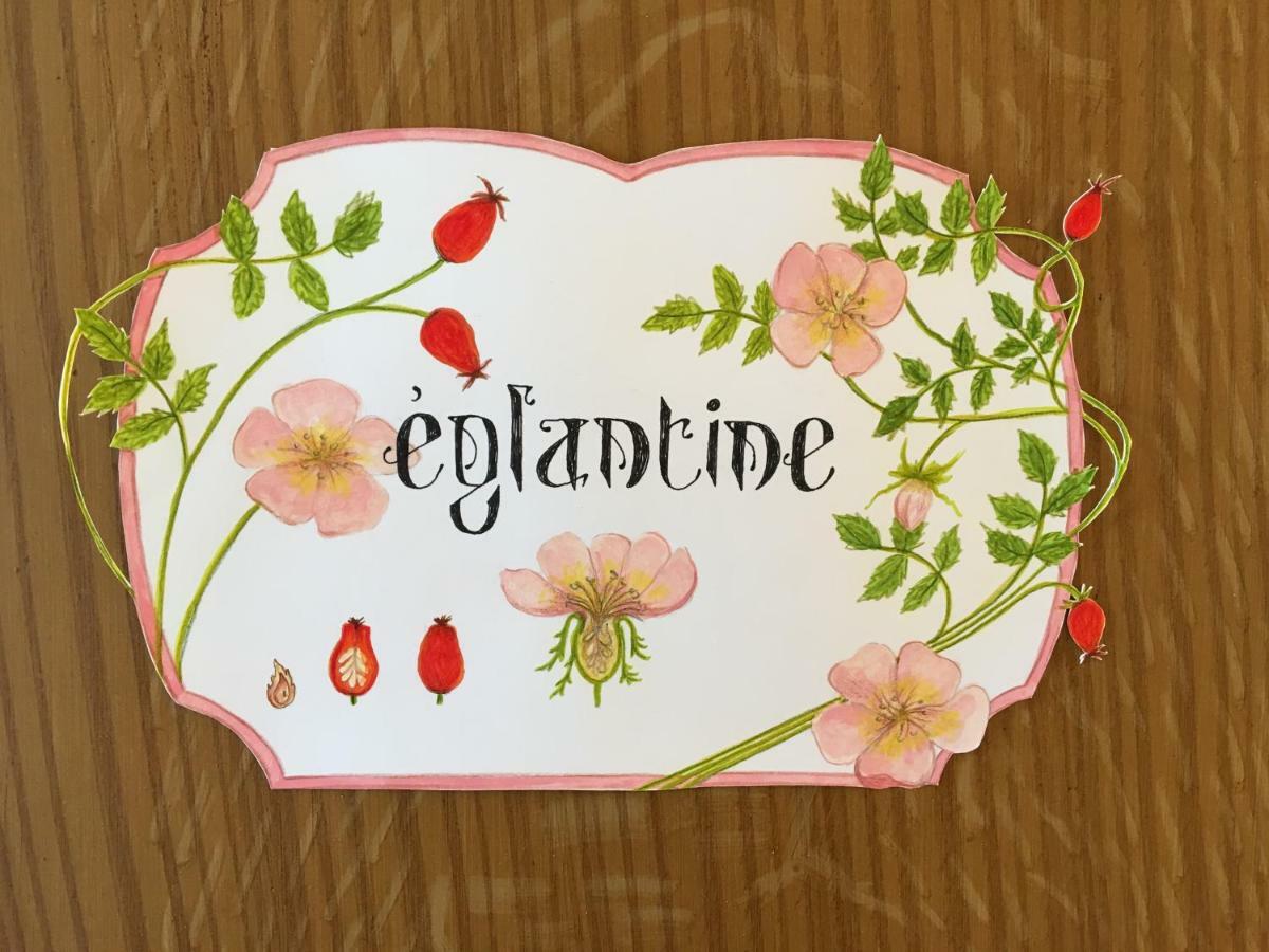 Le Clos Des Fayettes Theize Екстер'єр фото