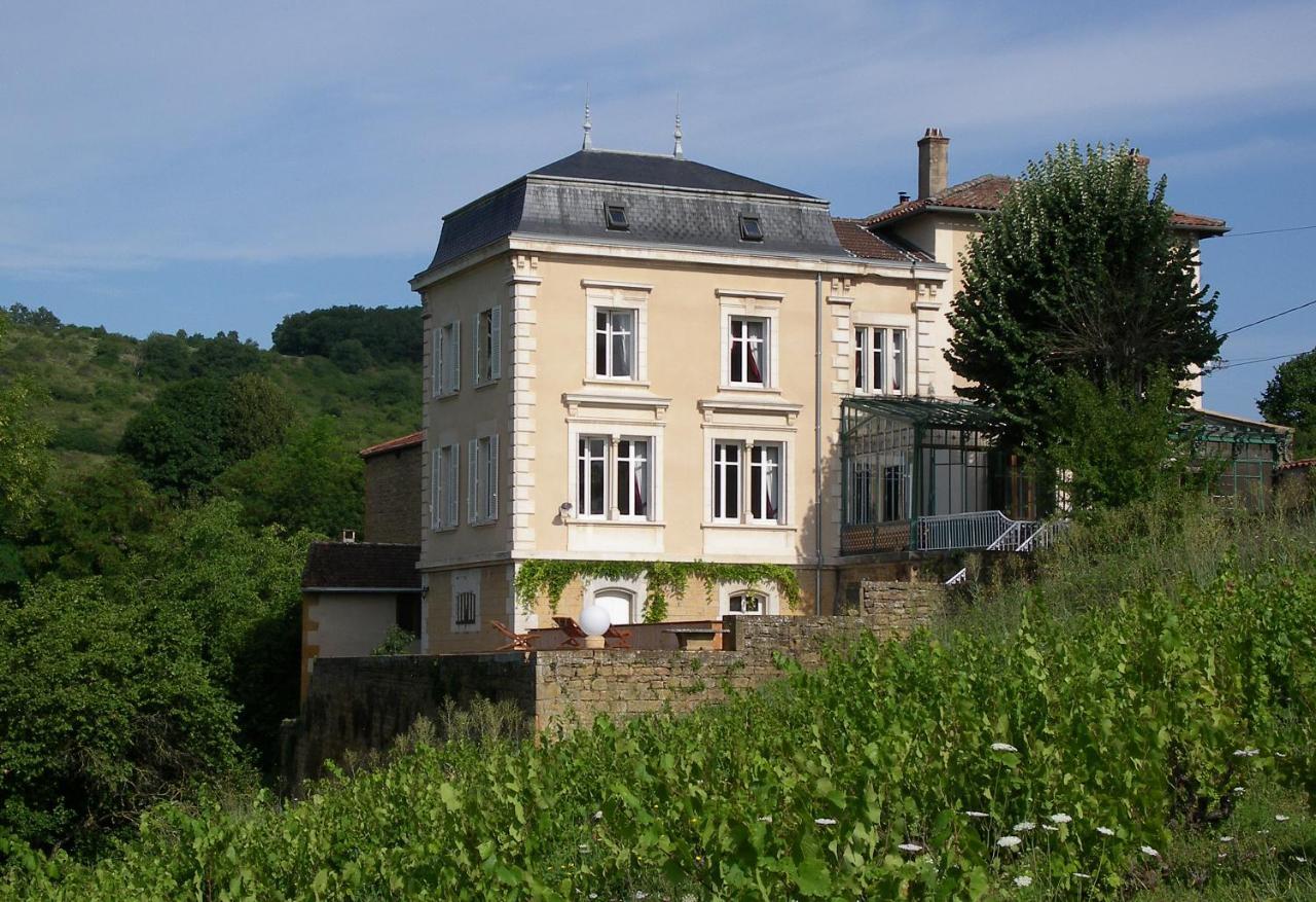 Le Clos Des Fayettes Theize Екстер'єр фото